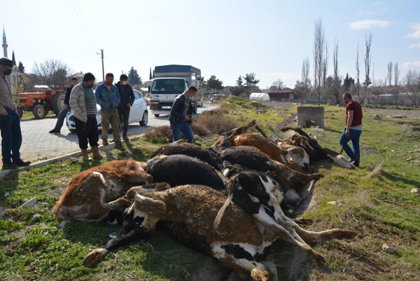Foto - Elektrik akımına kapıldılar! Feci olay