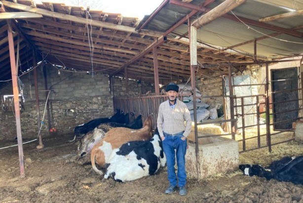Foto - Elektrik akımına kapıldılar! Feci olay
