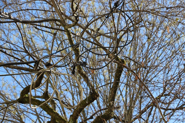 Foto - Elektrik direği yerine bu çözüm bulundu! 