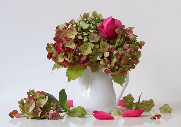 Foto - Elektrik süpürgesiyle sakın bunları süpürmeyin!