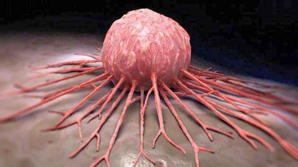 Foto - Elektrikli araç içindeyken bunu sakın yapmayın: Öyle böyle değil. DSÖ bile kabul etti... Risk sanılandan çok büyük