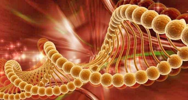 Foto - Elektrikli araç içindeyken bunu sakın yapmayın: Öyle böyle değil. DSÖ bile kabul etti... Risk sanılandan çok büyük