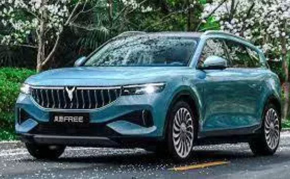 Foto - Elektrikli otomobili olanlar ve alacaklar dikkat! Artık Türkiye'de satış yapamayacaklar