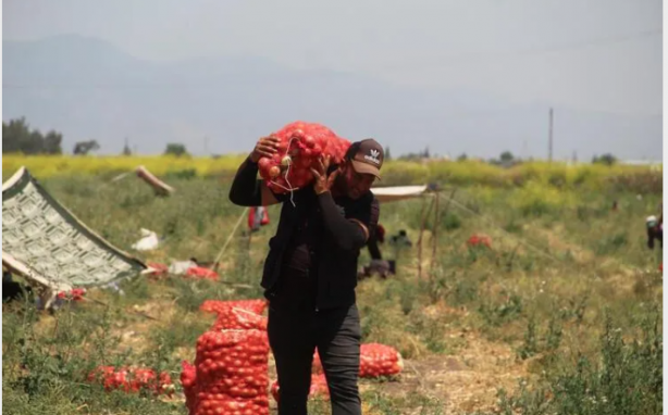Foto - Elinde soğanla siyaset yapanları üzen haber! Etiket fiyatı değişti