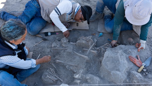 Foto - Elinde tuttuğu insan kemiği! Onlarcası bulundu