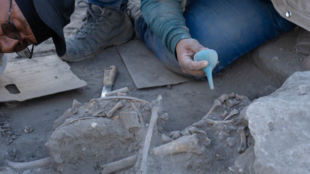 Foto - Elinde tuttuğu insan kemiği! Onlarcası bulundu
