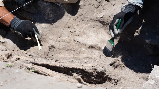 Foto - Elinde tuttuğu insan kemiği! Onlarcası bulundu