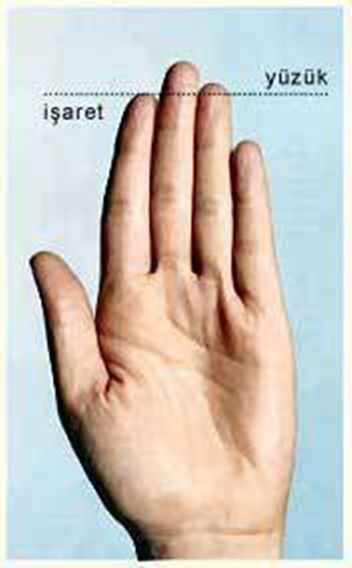 Foto - Elinize bakarak kansere meyilli olup olmadığınızı anlayın!