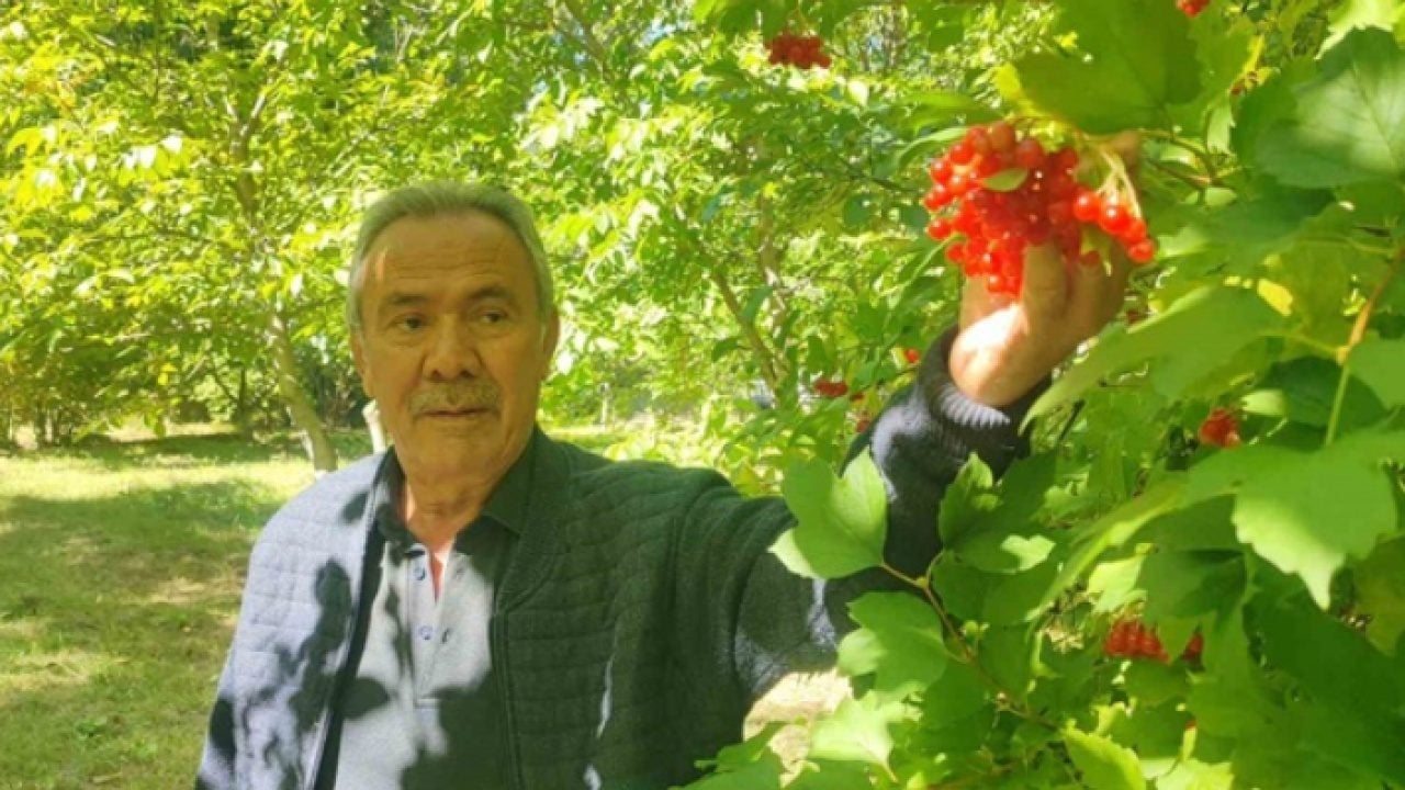 Foto - Elleriyle tek tek topluyor: Bidonunu 1000 liradan satıyor!