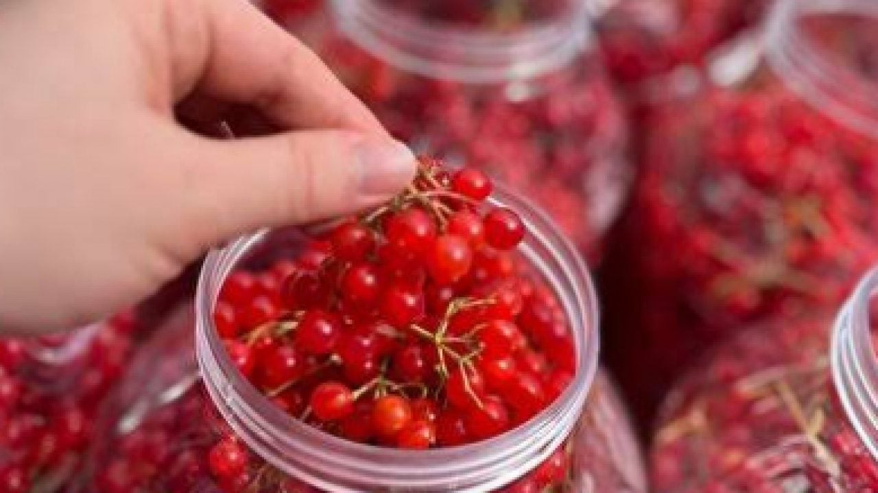 Foto - Elleriyle tek tek topluyor: Bidonunu 1000 liradan satıyor!