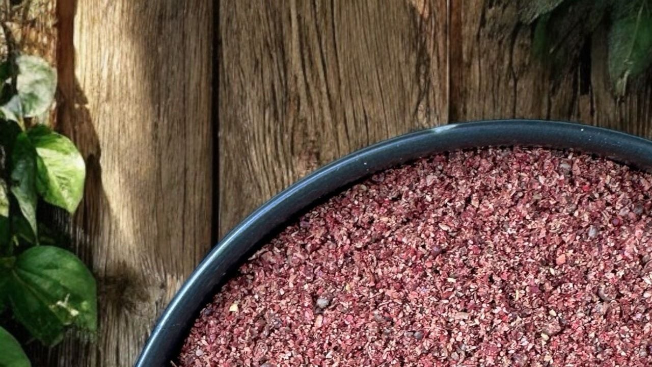 Foto - Elleriyle topluyor: Hasat başladı! Sumak, ağız yakan bir baharat değil bin derde deva...