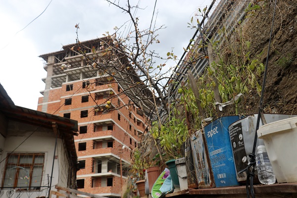 Foto - Elma ağacı mevsimleri karıştırdı! 