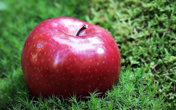 Foto - Elma ile İnanılması Güç Tedavi Yöntemleri!