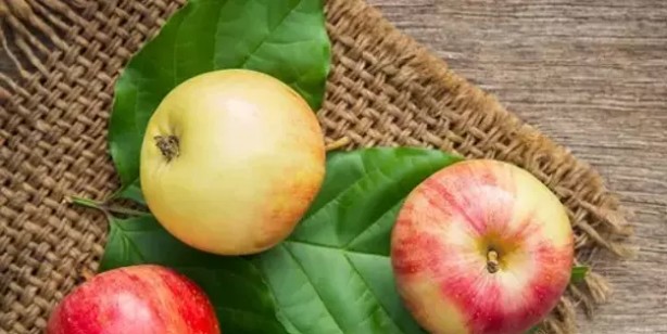 Elma kabuğunu kullanmanın 3 farklı yolu: Yanlış yapmanız zor çünkü öyle çok kolay uygulaması var ki!
