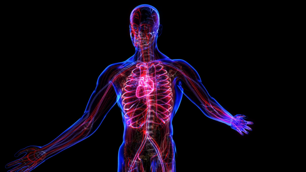 Foto - Elma suyunun duyunca şaşıracağınız 12 faydası!