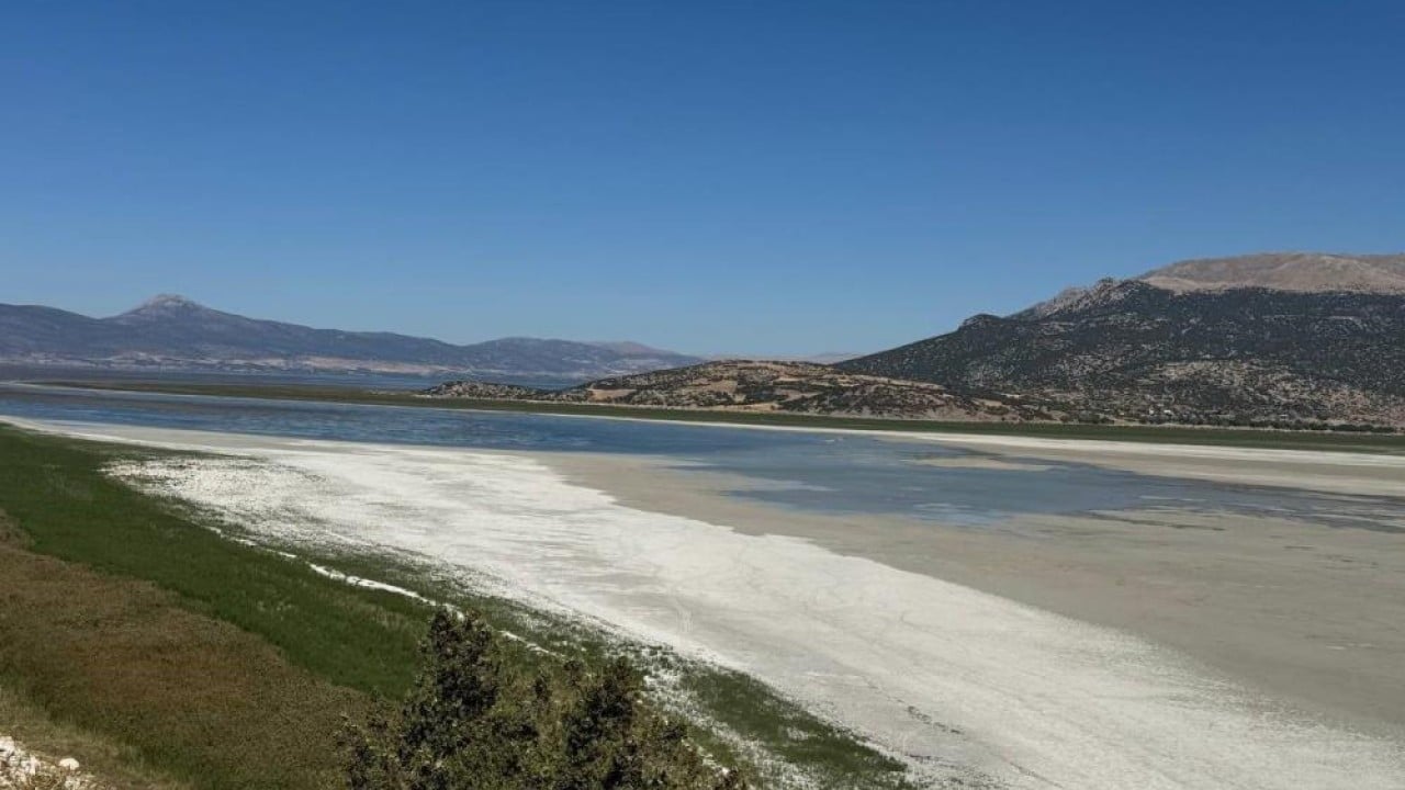 Elma yerine vişne ve zeytin