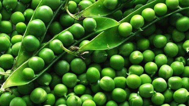 Foto - Elma yiyenler dikkat! Bir çizik atınca her şey ortaya çıkıyor