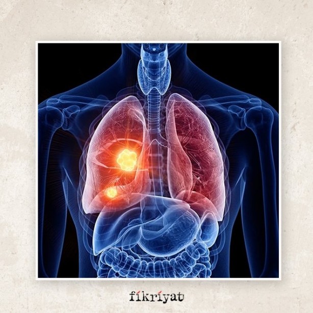 Foto - Elmanın kabuğunu atanlar bir daha düşünsün! Sağlığımız hakkında yanlış bildiklerimiz