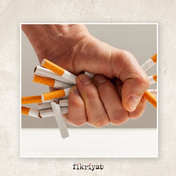 Foto - Elmanın kabuğunu atanlar bir daha düşünsün! Sağlığımız hakkında yanlış bildiklerimiz