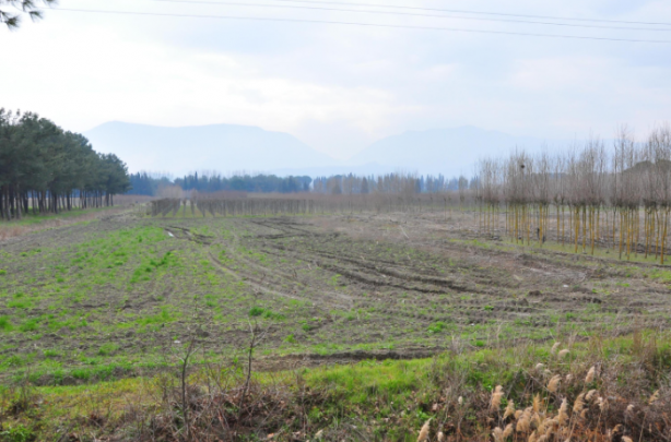Foto - Elon Musk o ilimizdeki arsayı ne yapıp edip almak istiyor! Almanlar almaktan vazgeçmişti...