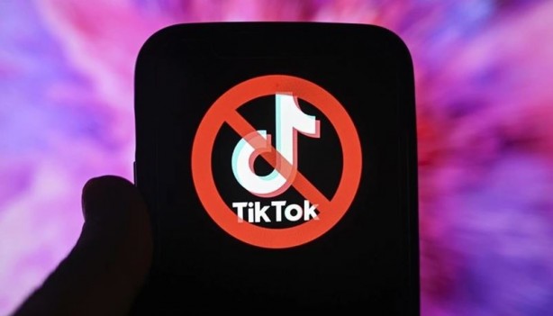 Elon Musk, TikTok'a sahip çıktı