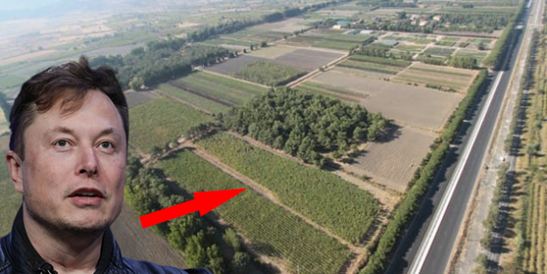 Elon Musk Türkiye'deki o araziye göz dikti! O kadar değerli ki Almanlar istiyordu