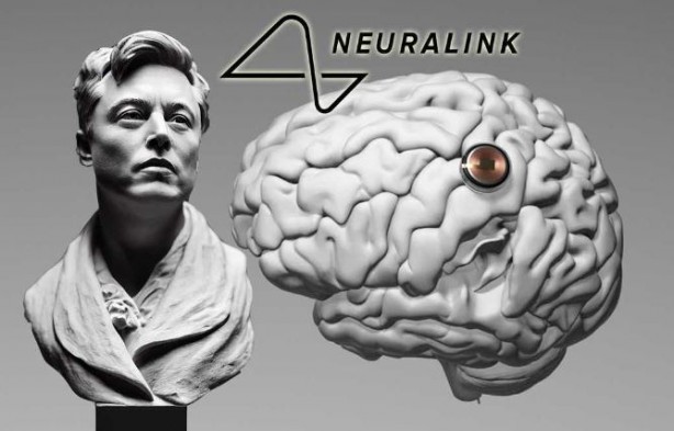 Foto - Elon Musk’ın beyin çipi şirketi Neuralink'e para cezası