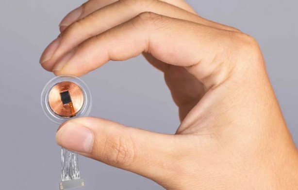 Foto - Elon Musk’ın beyin çipi şirketi Neuralink'e para cezası