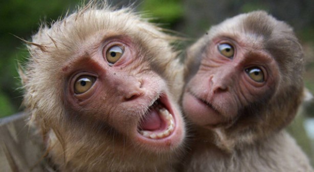 Foto - Elon Musk’ın şirketi işkenceyle suçlanıyor