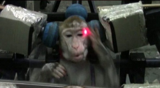 Foto - Elon Musk’ın şirketi işkenceyle suçlanıyor