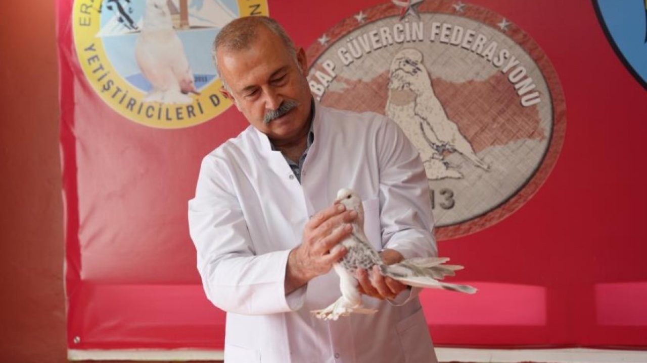 Foto - Emekli astsubay 40 güvercini için ev tuttu! Aylık masrafı dudak uçuklattı