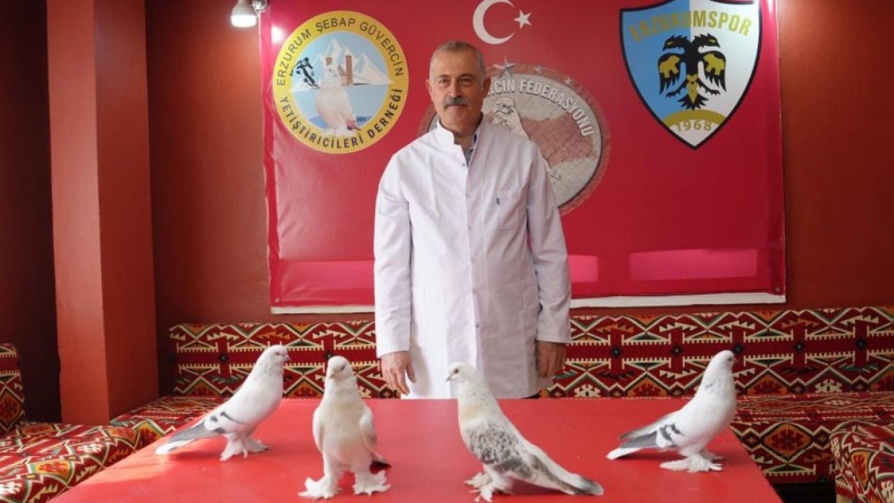 Emekli astsubay 40 güvercini için ev tuttu! Aylık masrafı dudak uçuklattı