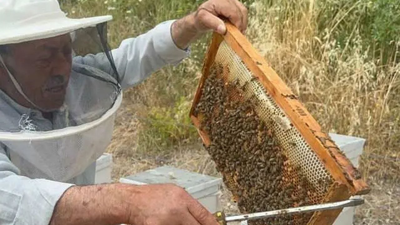 Foto - Emekli başgardiyan 50 yıldır arıların peşinde: 25 kovan malzeme... Balları Avrupa’ya ulaştı