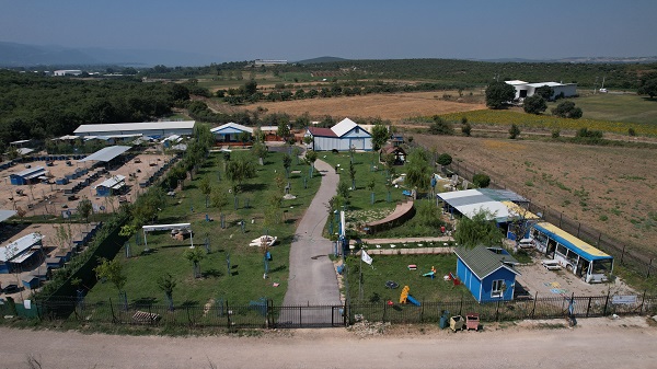 Foto - Emekli hayvanlar böyle dinleniyor