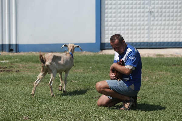 Foto - Emekli hayvanlar böyle dinleniyor