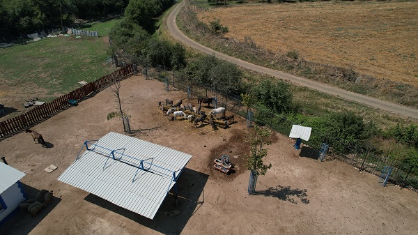 Foto - Emekli hayvanlar böyle dinleniyor