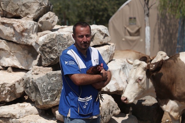 Foto - Emekli hayvanlar böyle dinleniyor