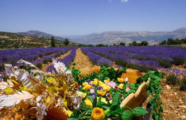 Foto - Emekli hemşire girişimciliğiyle kadınlara örnek oluyor