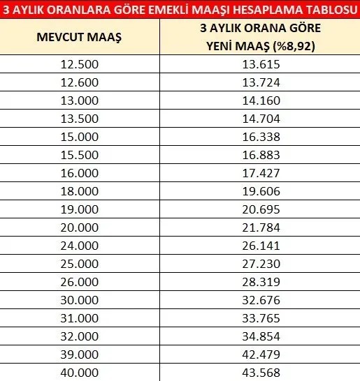 Foto - Emekli maaşları ve memur zammı Ocak'ta ne olacak? 3 aylık fark netleşti
