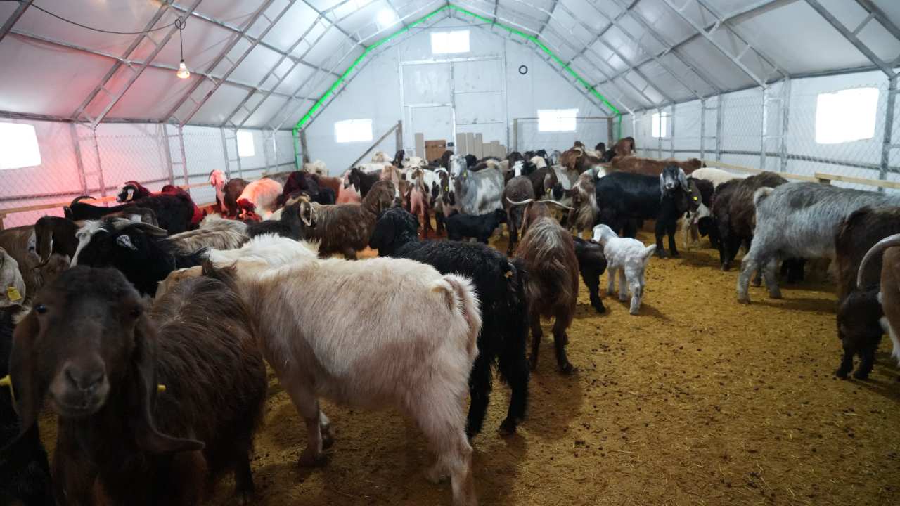 Foto - Emekli memurun hayatı değişti! Devlet desteğiyle başladı...