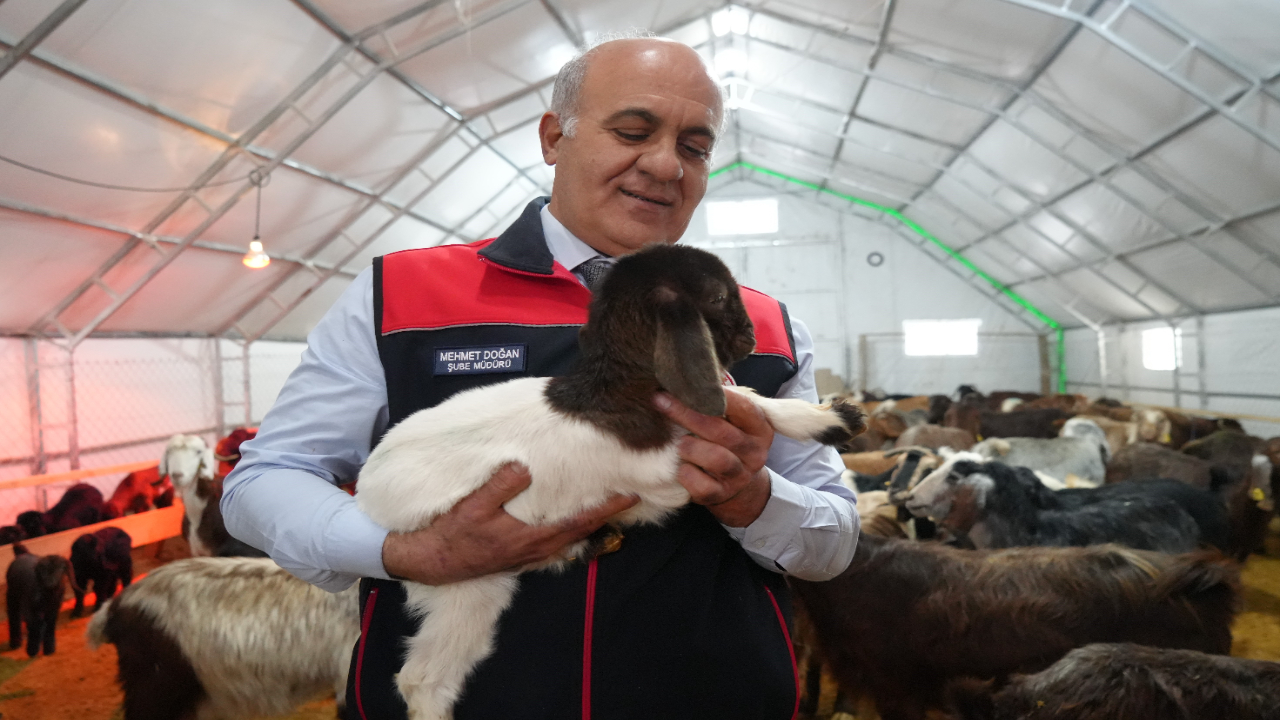 Foto - Emekli memurun hayatı değişti! Devlet desteğiyle başladı...