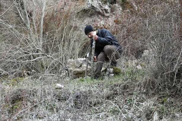 Foto - Emekli öğretmen doğadaki yabani ağaçları meyve vermesi için gönüllü olarak aşılıyor