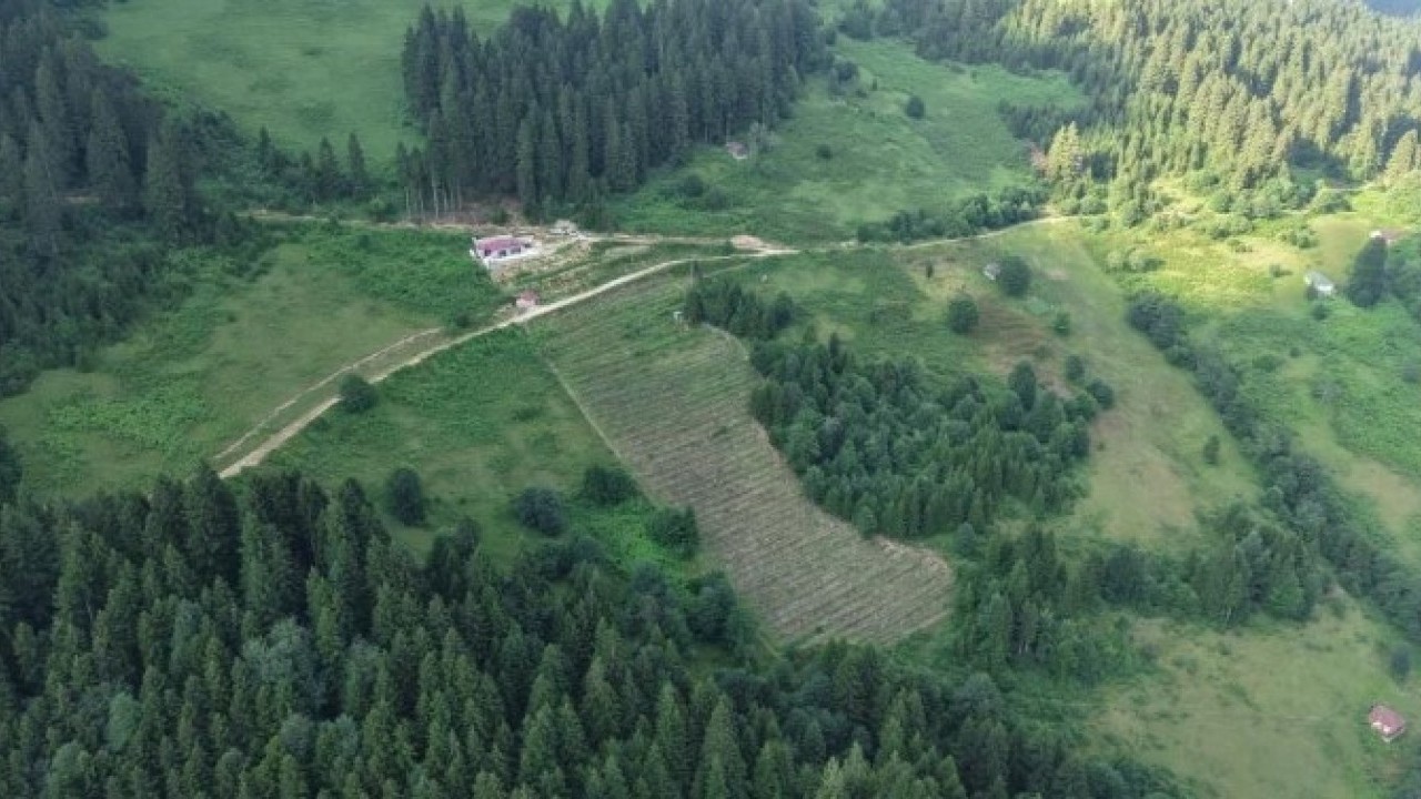 Foto - Emekli öğretmenden takdir toplayan hareket! Dağ başına kurdu