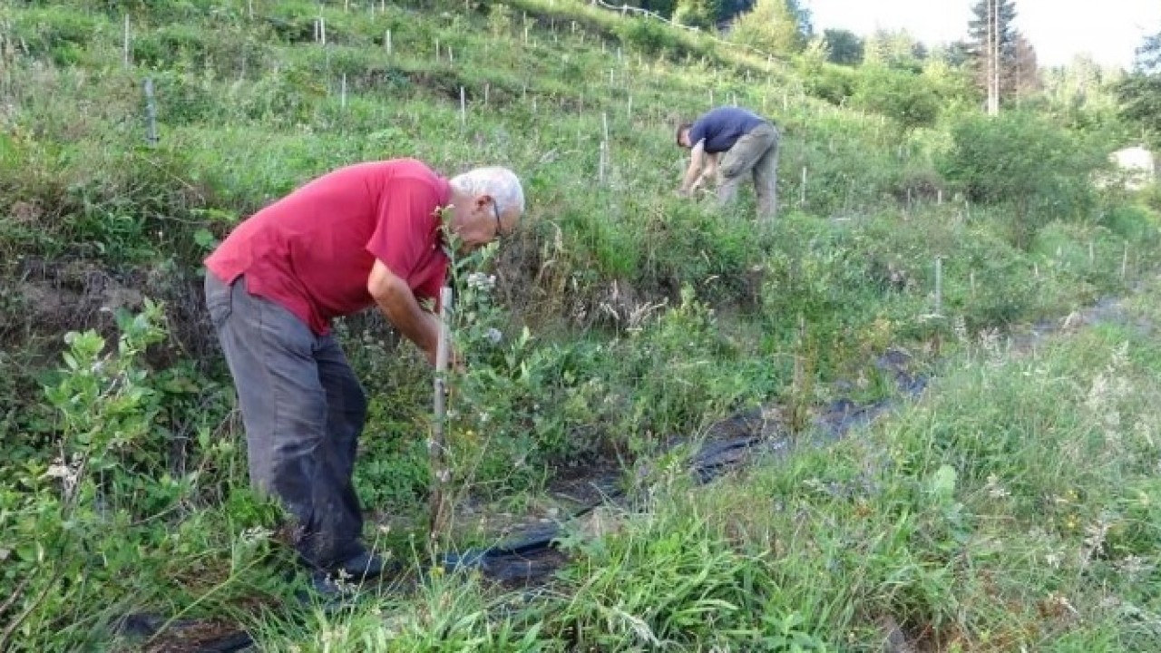 Foto - Emekli öğretmenden takdir toplayan hareket! Dağ başına kurdu