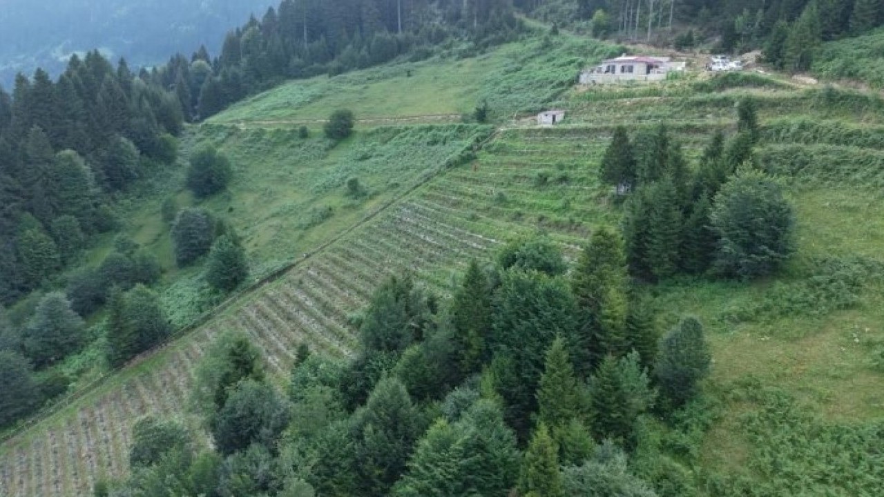 Foto - Emekli öğretmenden takdir toplayan hareket! Dağ başına kurdu