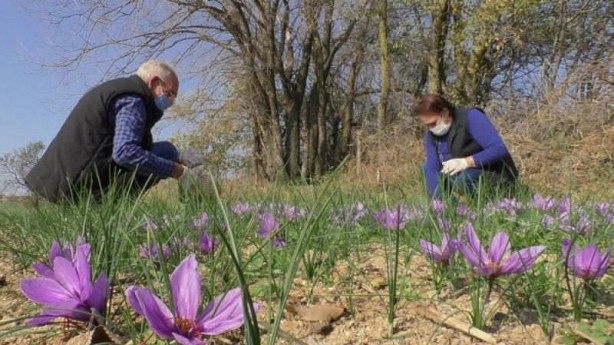 Foto - Emeklilikten sonra başladı, paraya para demedi! Kilosu 50 bin TL