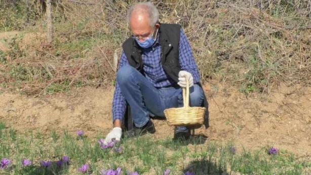 Emeklilikten sonra başladı, paraya para demedi! Kilosu 50 bin TL