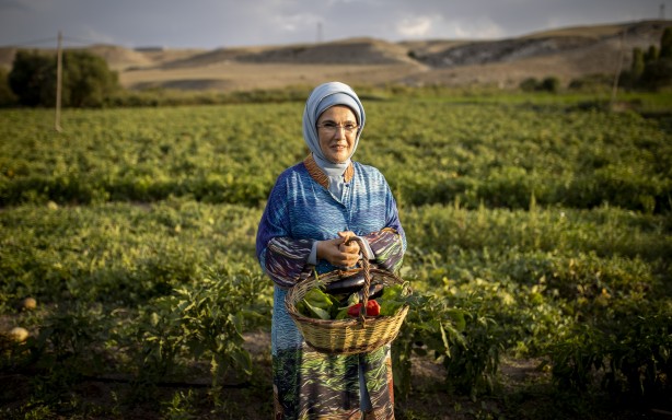 Foto - Emine Erdoğan, tarladan domates topladı, kışlık menemen yaptı
