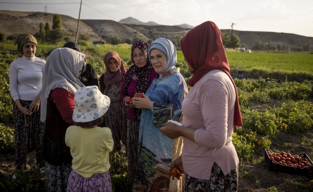 Foto - Emine Erdoğan, tarladan domates topladı, kışlık menemen yaptı