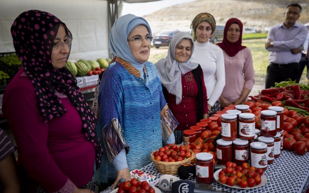 Foto - Emine Erdoğan, tarladan domates topladı, kışlık menemen yaptı